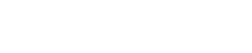 Bolivar logo inline